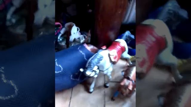 Мой КСК ''Дикий мустанг'' смотреть онлайн