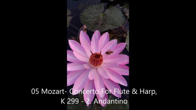 05 Mozart Concerto For Flute & Harp, K 299 2 Andantino смотреть онлайн