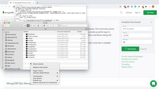 Instalación de MongoDB en un Mac смотреть онлайн
