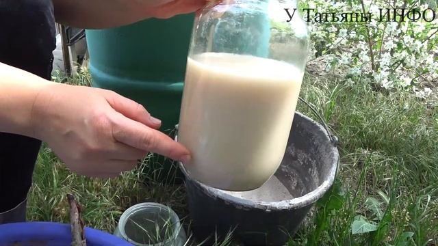 ПЛОХО РАСТУТ ОГУРЦЫ? СРОЧНО ПОДКОРМИТЕ ИХ ЭТИМ УДОБРЕНИЕМ!!! смотреть онлайн