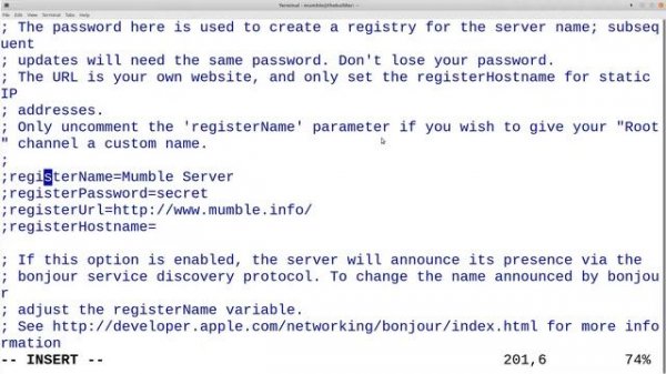 How to setup a Mumble server add it on public server list and add a certificate with Lets encrypt