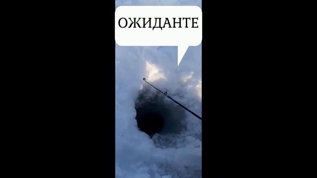 Рыбалка на Кольском 2019 год смотреть онлайн