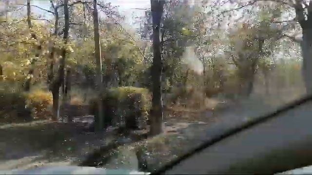 1 ноября 2023 г.