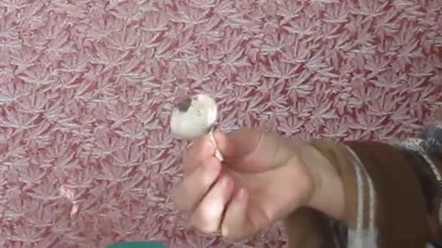Как сохранить чеснок зимой? - киевляне в глухомани смотреть онлайн