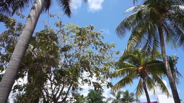 First Impressions of Cancún ??? смотреть онлайн