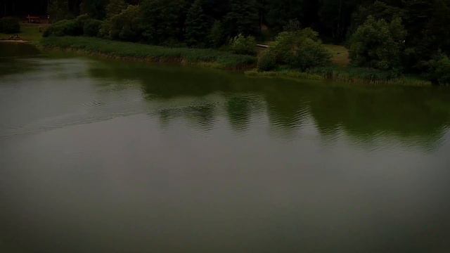 Озеро Гать в объективе DJI Phantom 4 Pro смотреть онлайн