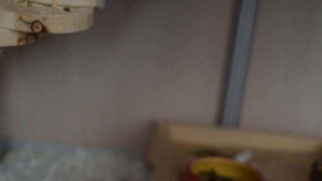 Новая витрина для дегу! смотреть онлайн