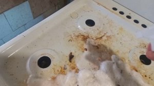 Пробуем Azelit Антижир.mp4