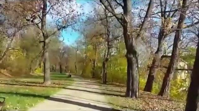 Прогулка в парке, кто тайно живёт рядом с нами?!!! смотреть онлайн