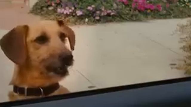 Гарфилд 3 смотреть онлайн