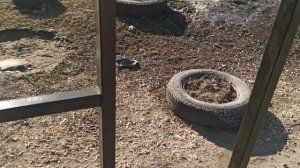 лавочка и столик на кладбище 1200 р