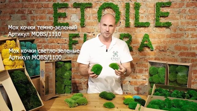 Все про кочковой мох смотреть онлайн