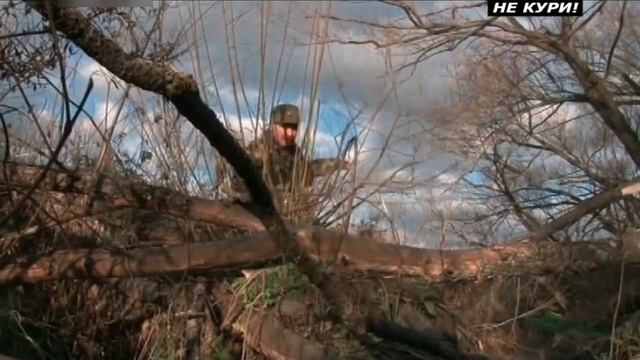 Охота на енотовидную собаку самоловами - 2021г смотреть онлайн