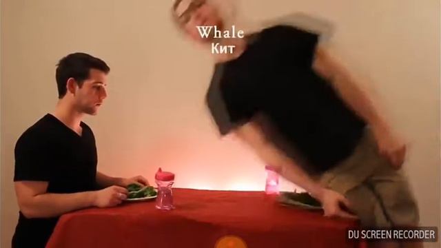 Как едят животные смотреть онлайн