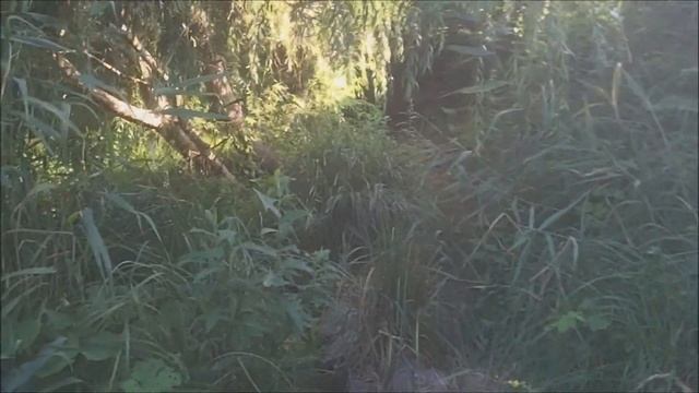 ЕДУ КОПАТЬ ВОЕННЫЙ ПОЛИГОН. смотреть онлайн