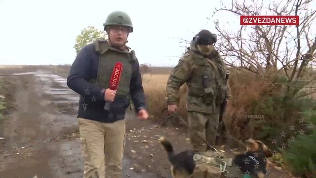 Собака лучший друг человека. ? смотреть онлайн