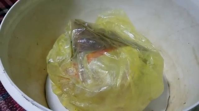 Уроки Пения и Вокала