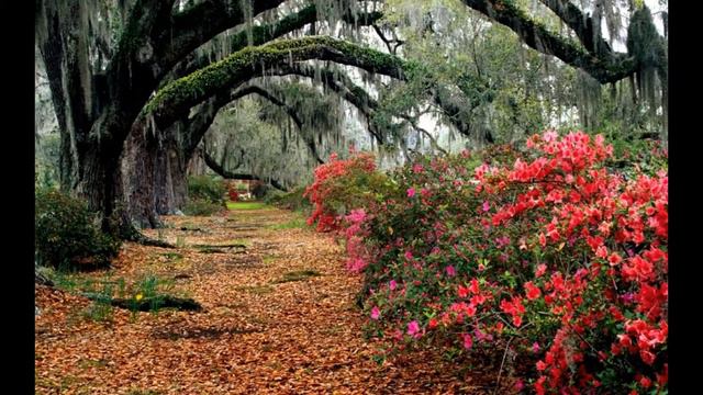 ဆရာတော် ဦးဇောတိက - 'ယသော အယသော' တရားတော် смотреть онлайн