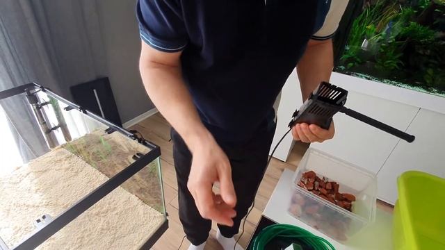 Аквариум для начинающих. Как запустить свой первый аквариум. Аквариум на 60 литров. смотреть онлайн