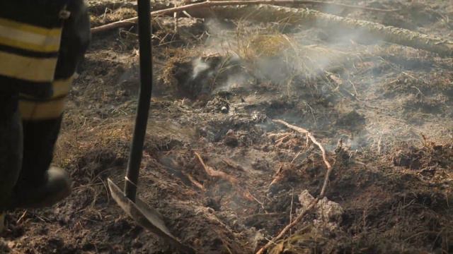 Пожар на Куршской косе смотреть онлайн