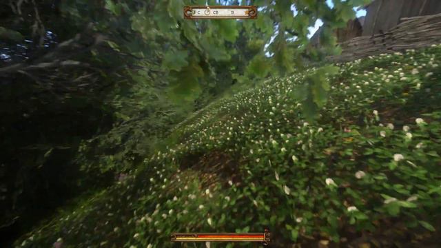 Kingdom Come: Deliverance (Lets-Play) # 16  Раскопали странную могилу