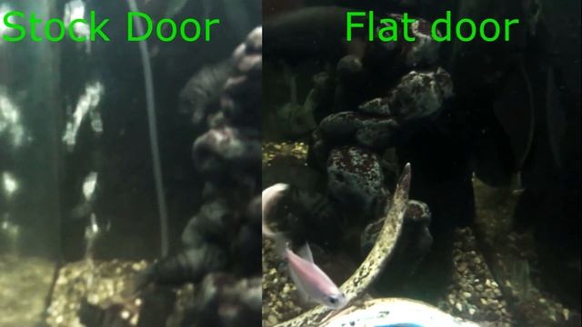 Sony Action Cam HDR-AS100v underwater Flat lens vs stock lens смотреть онлайн