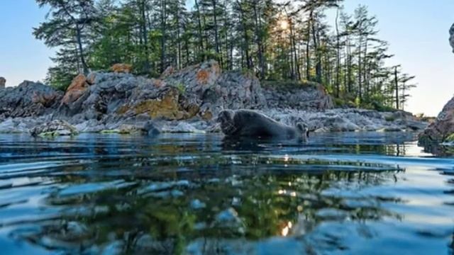 Дизайн и Разработка Веб-сайтов