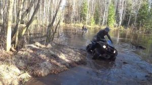 Yamaha Grizzly 700 в лесу при различных условиях эксплуатации...