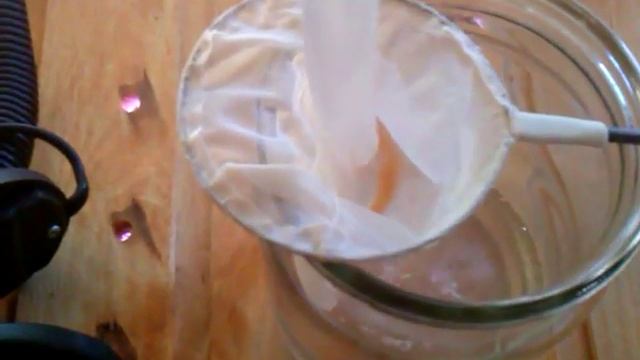 Кормление малька скалярии смотреть онлайн