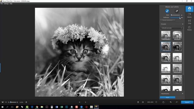 Movavi Photo Noir Review and Tutorial - Photo Noir Black and White Photo Editing смотреть онлайн