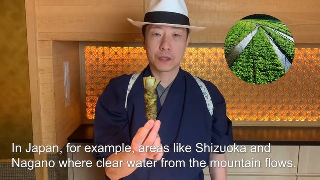 How to use WASABI!! смотреть онлайн