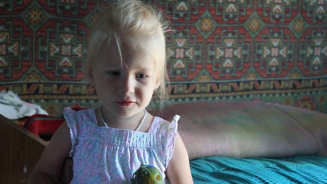 Сашуля поет песню "Собрал на даче мишка" смотреть онлайн