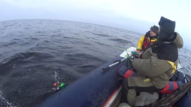 Рыбалка на Финском заливе с лодки в декабре | Дамба смотреть онлайн