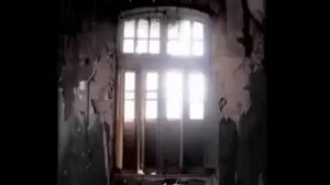 Plastique Noir - Rose Of Flesh And Blood