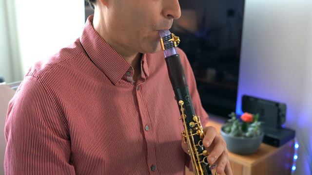 Summertime by Paul Harvey. Jose Franch-Ballester, clarinet. смотреть онлайн