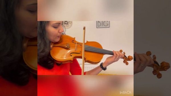 Beautiful And Stunning Modern One Piece Back European Violin 4/4 & Sound Sample
