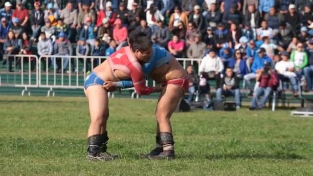 Кубок главы Тувы по нац. борьбе Хуреш, 25 сент. 2016г. смотреть онлайн