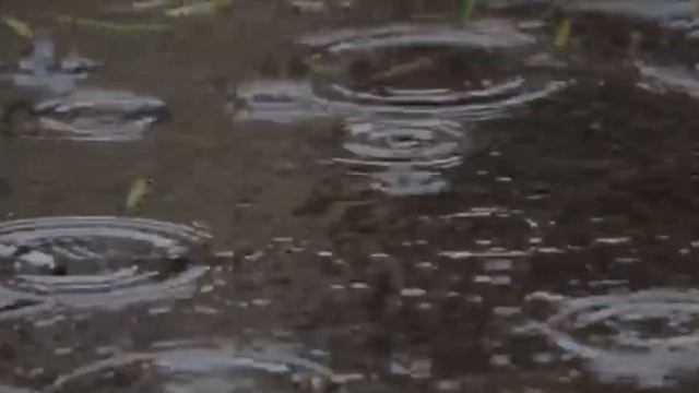 Enigma Style . Calm, Relaxing, Meditative Music (excerpt). Not Bad _