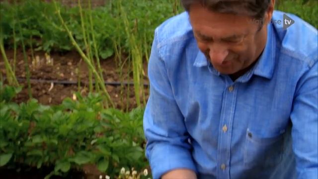 How to Grow Your Own Strawberries with Alan Titchmarsh | Waitrose & Partners смотреть онлайн
