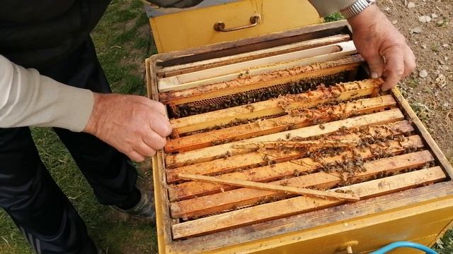 Холодная весна обновляем гнездо вощиной. смотреть онлайн