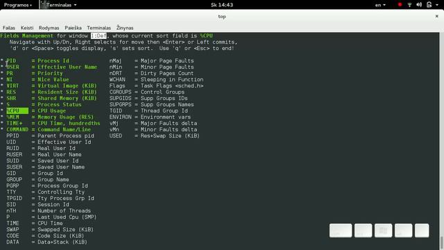 linux top komanda смотреть онлайн
