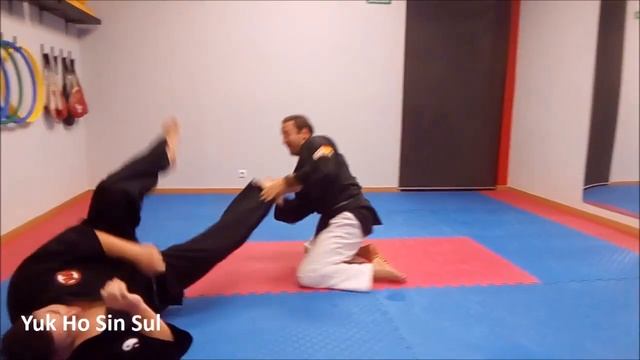 HAPKIDO - Contra ataques estando tumbado смотреть онлайн