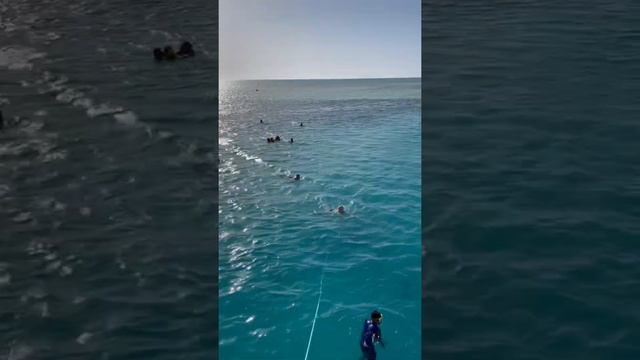 Egypt. Red sea. Sharm-El-Sheikh. Самое синее Красное море. Египет. Шарм эль Шейх. смотреть онлайн