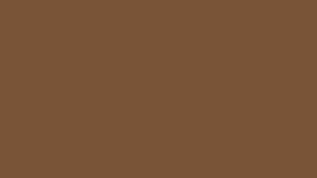 Beige brown color #79553D HD Бежево-коричневый цвет смотреть онлайн