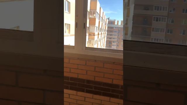 2 -к Квартира в Янино смотреть онлайн