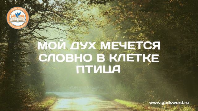 Интро - Божье Слово Music смотреть онлайн