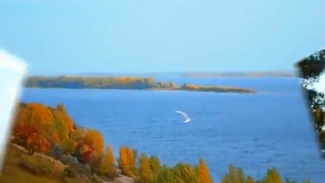 Песня cover. Я спросил у ясеня. Исполняет А. Догадкин. в новом формате смотреть онлайн