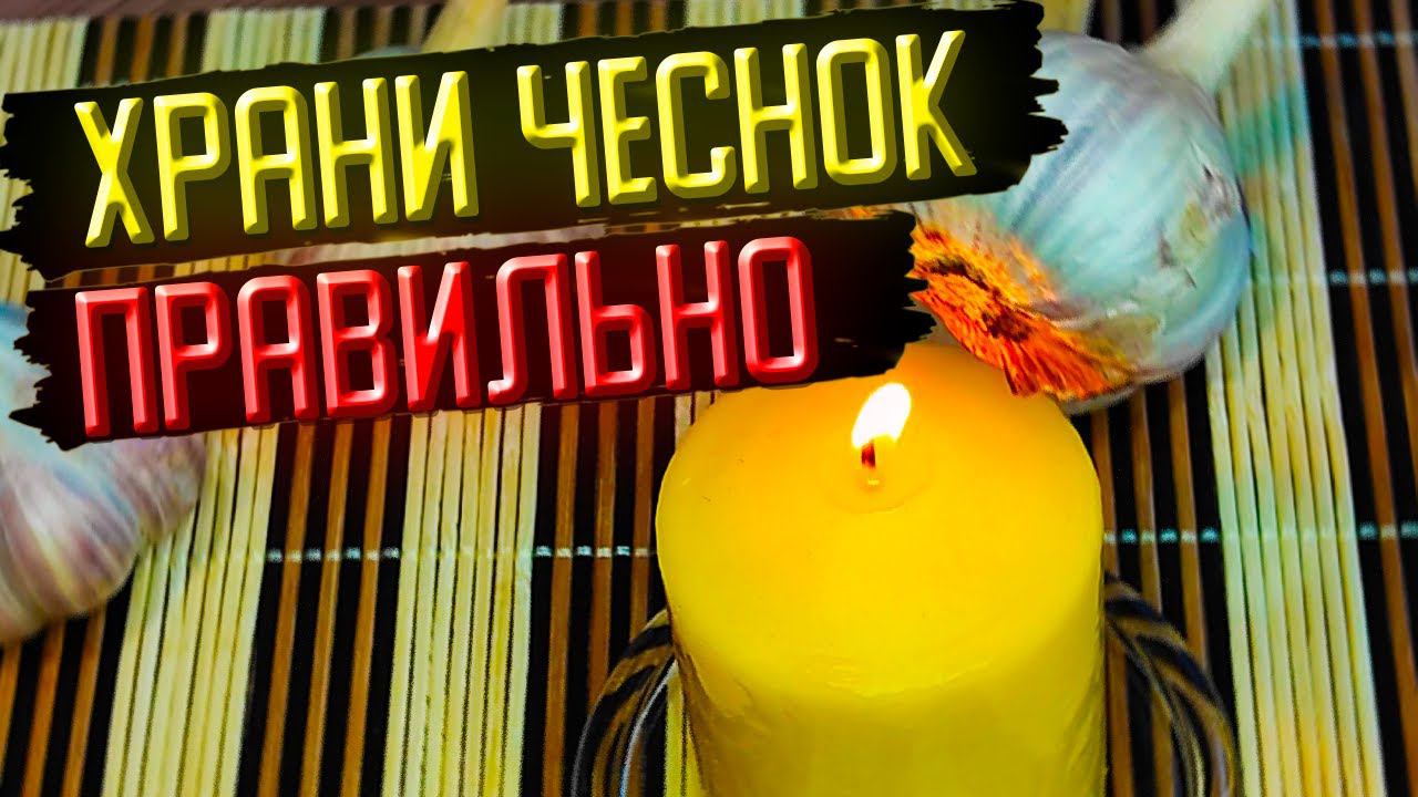 Молдавский секрет сохранения ЧЕСНОКА зимой #64 смотреть онлайн