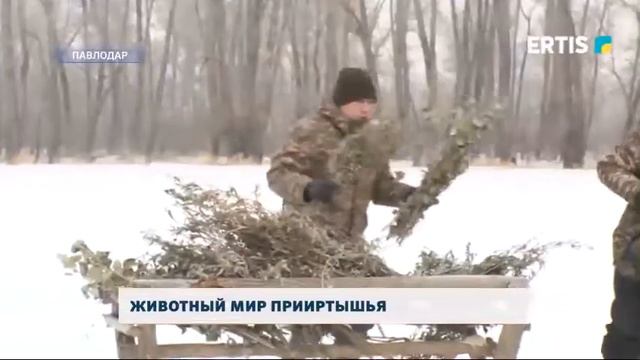 Животный мир Прииртышья смотреть онлайн