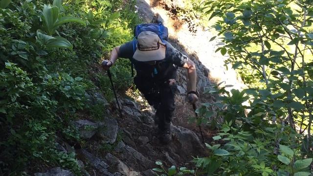 Wildflower Paradise On Silver Star Mountain